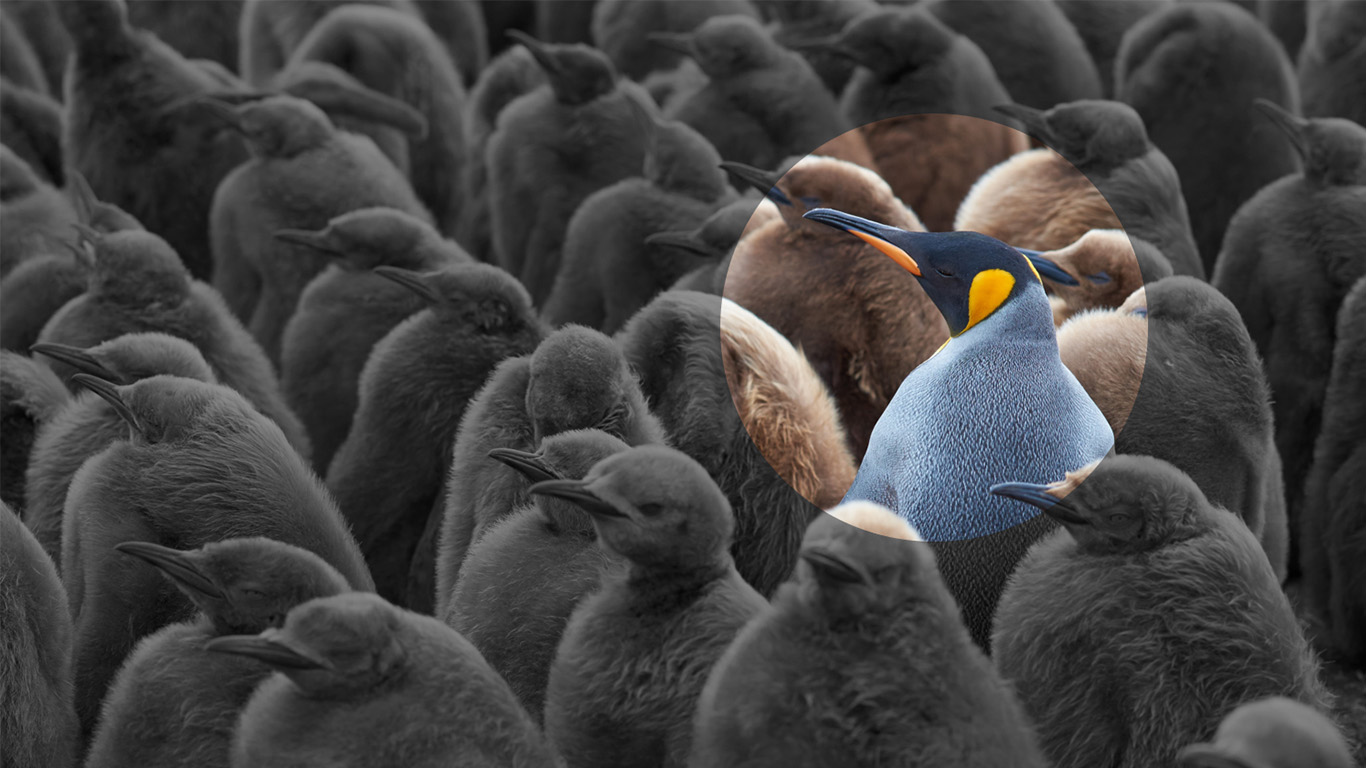 Jigsaw Research Ltd Market Research Agencies The Research Buyers Guide